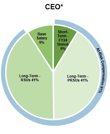 Updated CEO Pie Chart (1).jpg